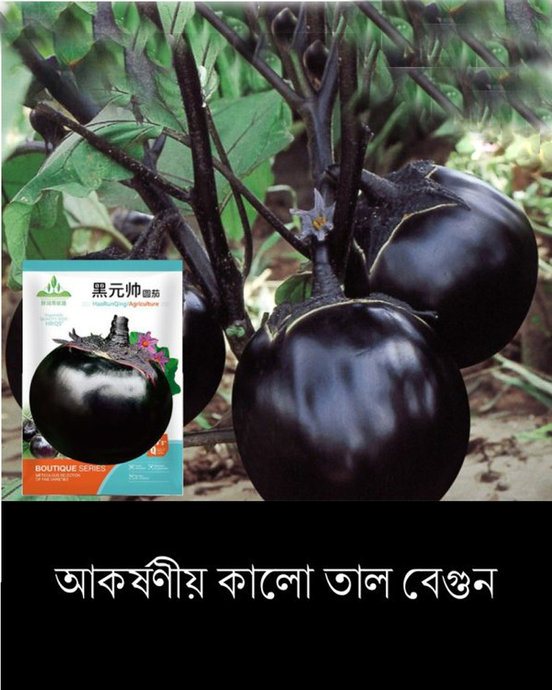 তাল বেগুন (কালো)